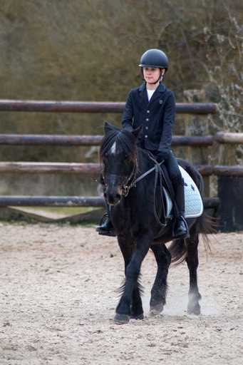 Cours Double-Poney