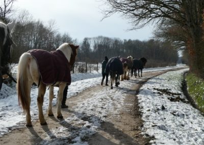 13/02 La neige s’installe au Krouge