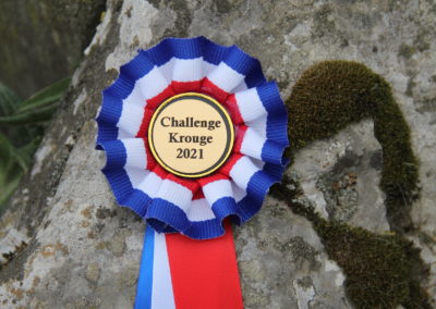 Challenge Krouge 2021 – 18/04/2021 – Dressage/Obstacle