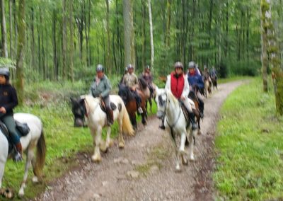 Vosges – Du 30 Juillet au 05 Août