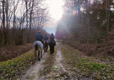 Rallye Galette – 28 Janvier