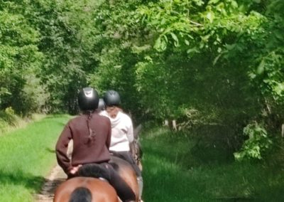 Rando Morshe – 19 Mai