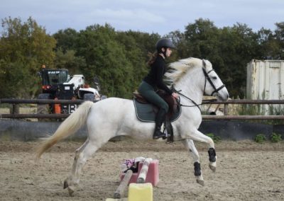 Stage Obstacle – 13 Octobre