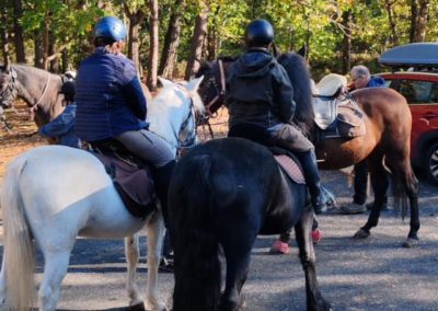 Rando Fontainebleau – 24 Octobre