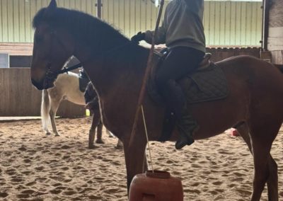 Stage Équitation de Travail – 08 Décembre