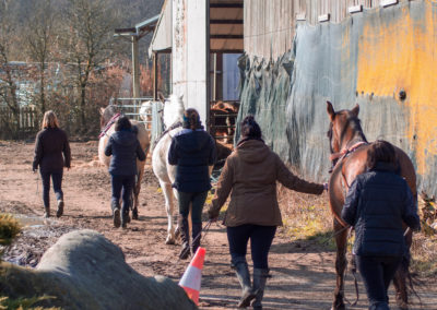 Stage Longues Rênes – 02 Mars