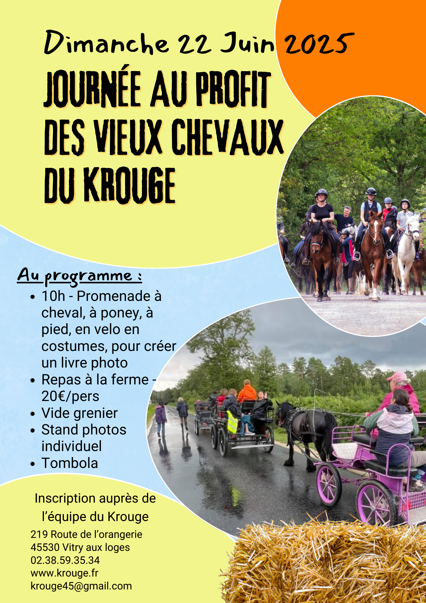 Journée Vieux chevaux (1)